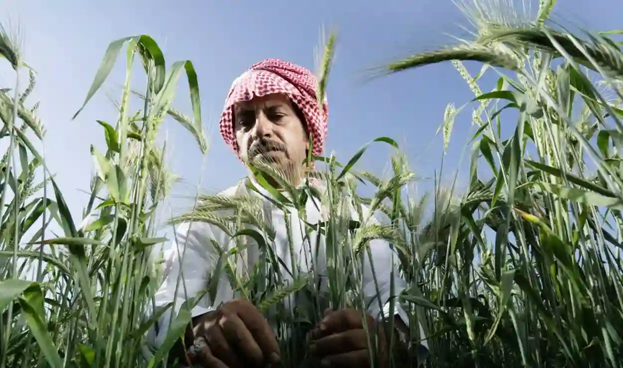 برنامج ريف