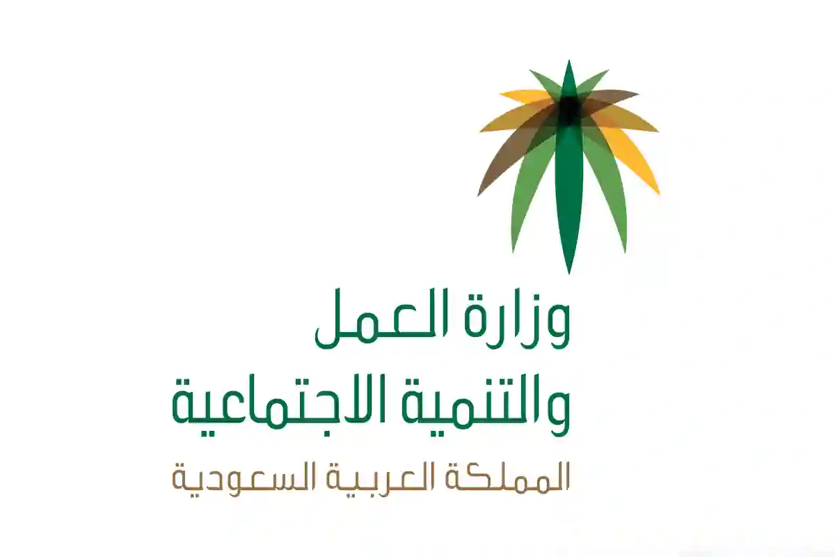 رابط وزارة الموارد البشرية وخطوات الاستعلام عن المساعدة المقطوعة برقم الطلب والشروط المطلوبة