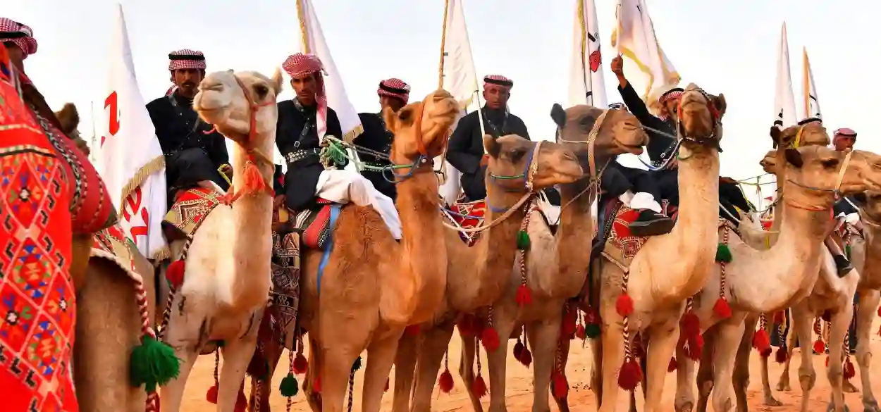 البوابات الإلكترونية بالمطارات الدولية السعودية وتجربة الزوار بمهرجان الملك عبدالعزيز للإبل