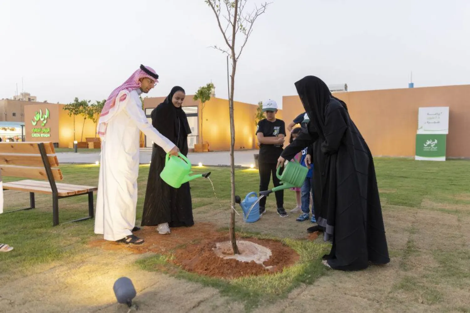 البرنامج الوطني للتشجير